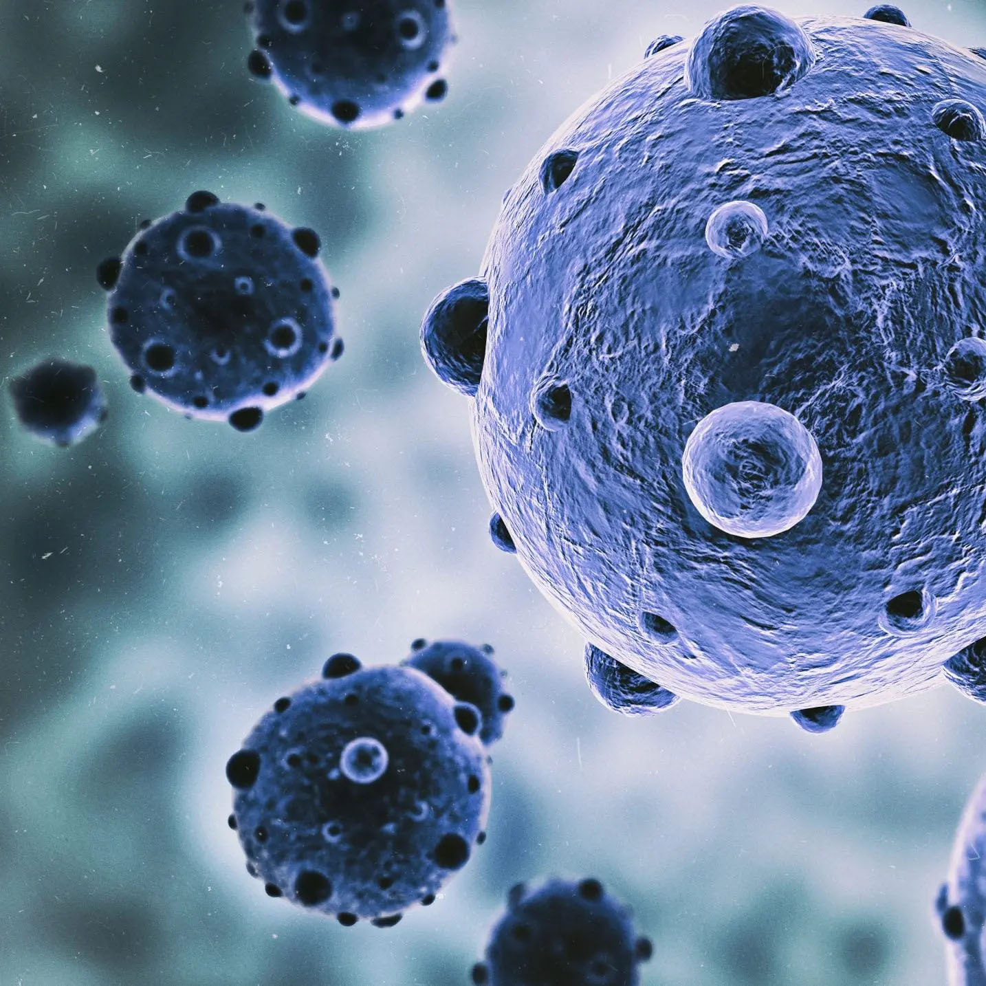 Sistema imunitário em ação